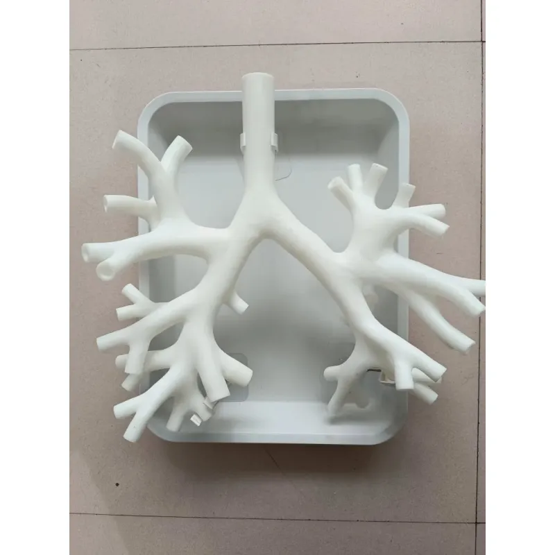 Fiberoptic Bronchial Model - 4th Level Bronchial Magnification for Bronchoscopy Training [Bronchoscopy, Training Model]