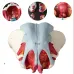 Disassembled Female Pelvis Anatomy Model with Floor Muscle & Nerve - 1:1 Scale PVC Lab Supplies for Medical Training