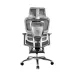 Ergonomic Chair V1 7th Gen - 6D Armrest, 4D α Lumbar Support, Breathable Mesh Gaming & Office Chair