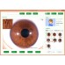 Digitale Iridologie Camera - 8MP Iris Analyzer met Auto Iris Analyse Software, Gezondheidstoestand Checker [Iridologie, Iris Analyzer]