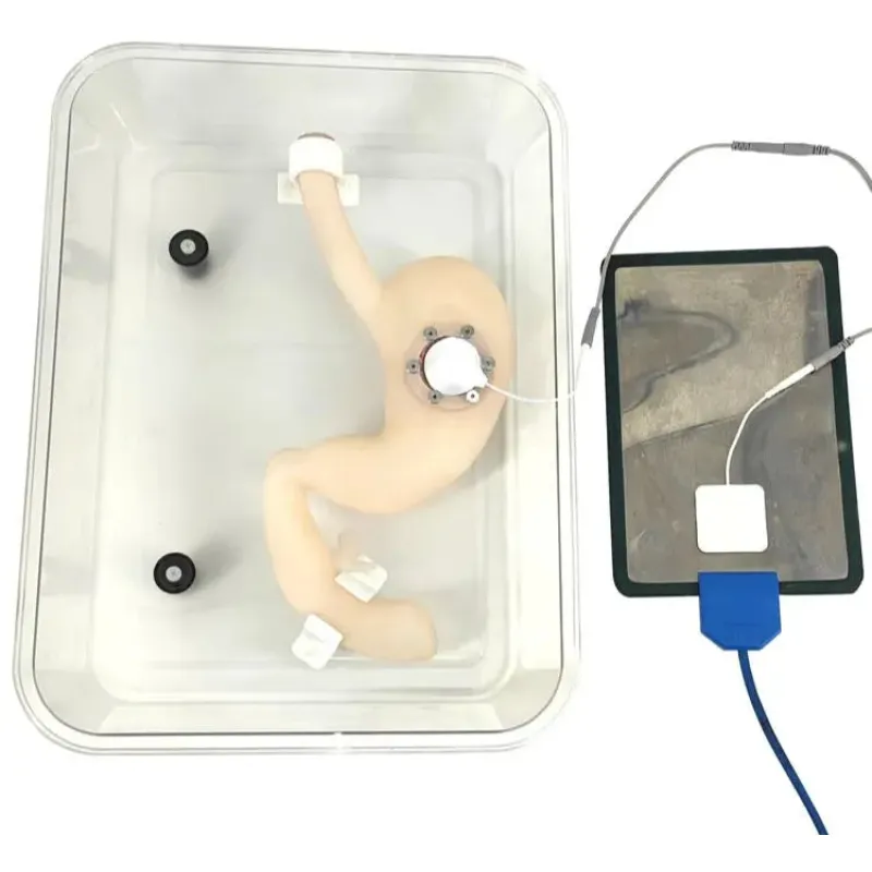 Gasztroszkópia képzés ESD sebészeti modell – valósághű endoszkópos nyálkahártya alatti boncolás szimulátor egészségügyi szakembereknek