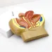 Sagittal Pelvis Anatomy Model for Male & Female - Detailed Male & Female Reproductive Organ Model with Uterus [PVC, Educational Tool]