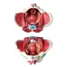Disassembled Female Pelvis Anatomy Model with Floor Muscle & Nerve - 1:1 Scale PVC Lab Supplies for Medical Training