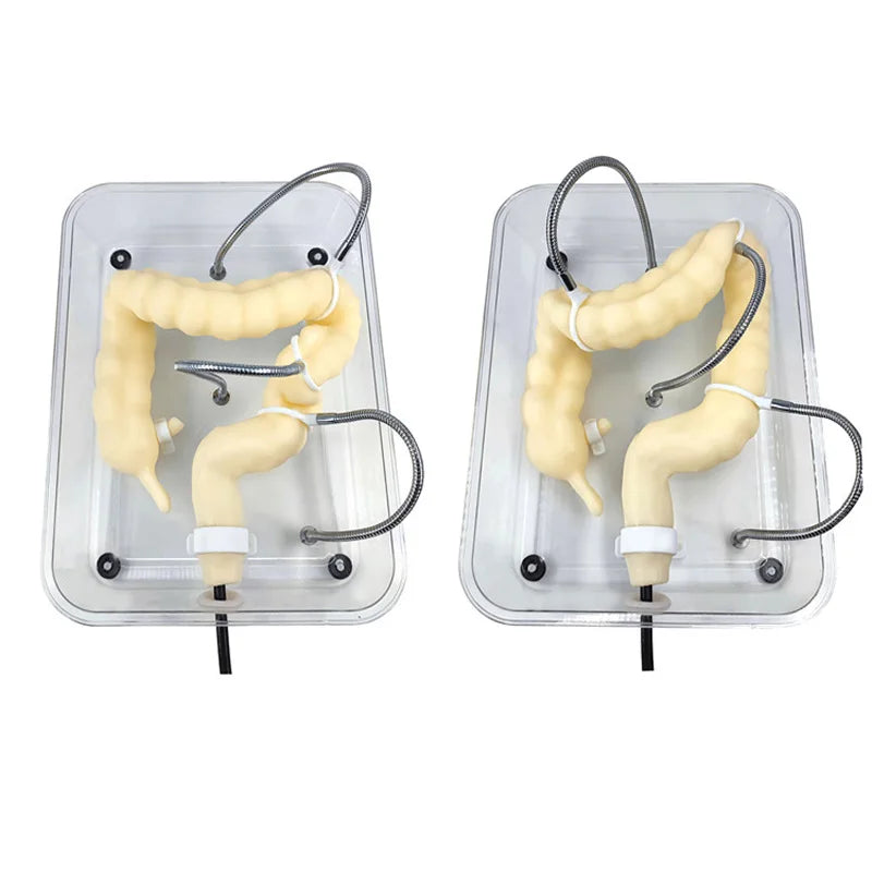 Soft Virtual Colonoscopy Training Model for Surgery & Medical Colonoscopy Practice [Colon Model, Medical Training]