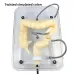 Soft Virtual Colonoscopy Training Model for Surgery & Medical Colonoscopy Practice [Colon Model, Medical Training]