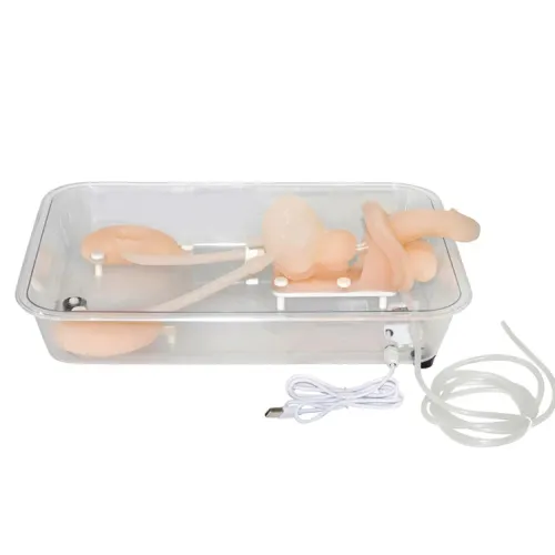 Ureteroscopy Simulation Training Model - Silicone Kidney & Urinary Organ Structure Model for Medical Training [Ureteroscopy, Kidney Model]