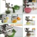 304 Stainless Steel Manual Wheatgrass Juicer - Healthy, Non-Toxic, Durable Wheat Grass Juicer for Fresh Juice